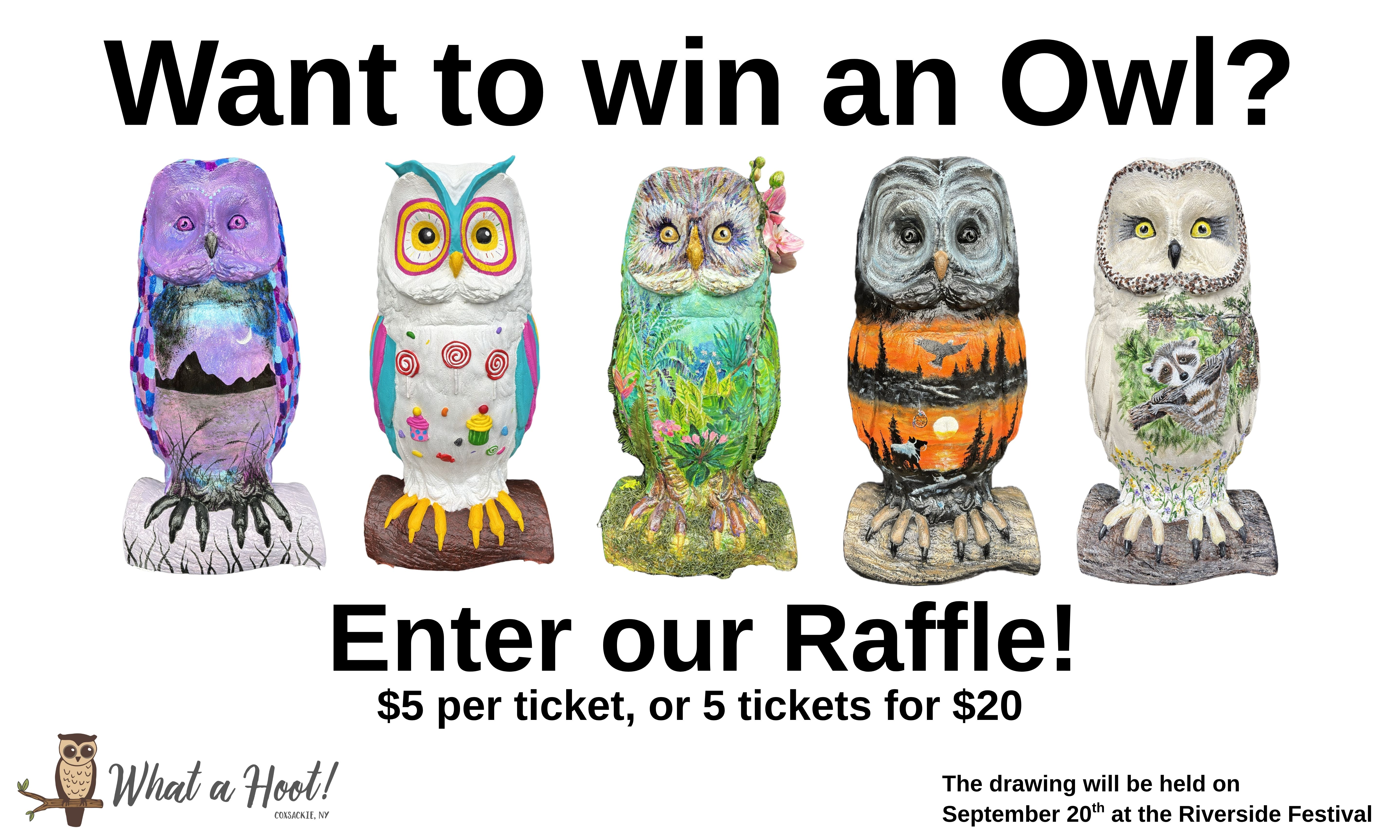 Owl Image